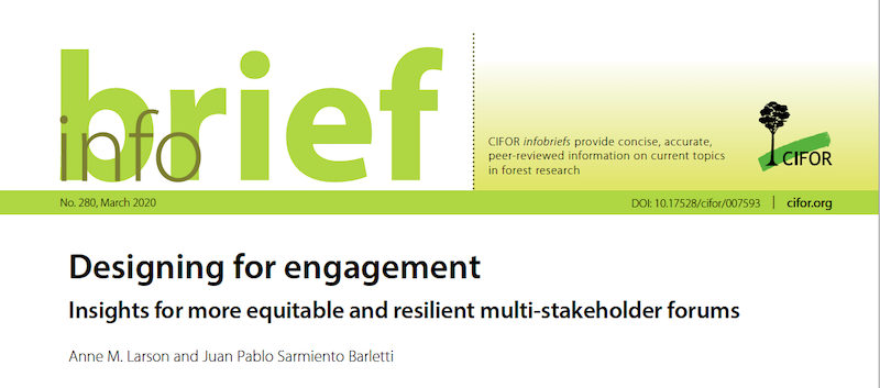 Insights for more equitable and resilient multi-stakeholder forums